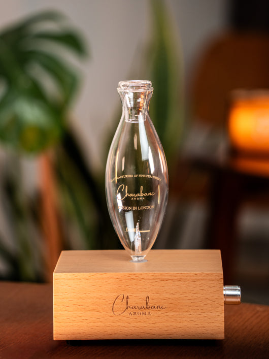 Charabanc Aroma Oil Diffuser MINI Travel Edition / Customized Name